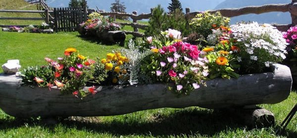 Reciclar para plantar