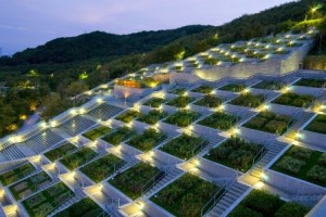 jardin botanico iluminado