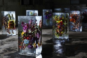 ICED-FLOWERS-1