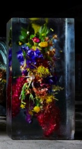 ICED-FLOWERS-2