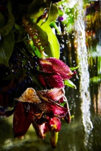 ICED-FLOWERS-3