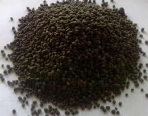guano