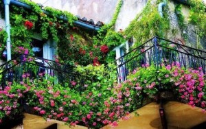 Balcón flores y trepadoras