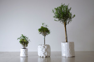 Macetero GROWTH