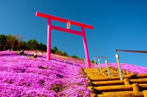 Parque Higashimokoto
