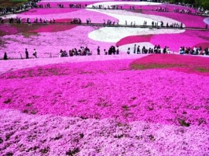 Parque-de-Higashimokoto