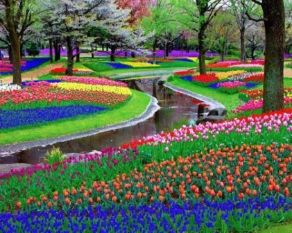 Los jardines de Keukenhof (Holanda)