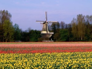 keukenhof-2014