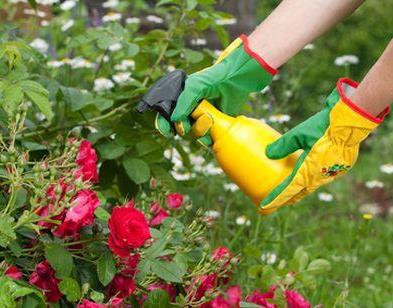 Aceite mineral para las plantas