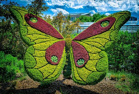 Arte Topiario o esculturas vegetales
