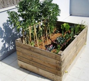 Huertos urbanos