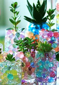 Cristal-de-barro-cultivo-sin-suelo-de-plantas-flores-plantas-verdes-hidrop&oacute