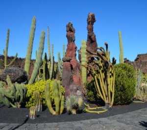 Lanzarote-Jardín-de-Cactus