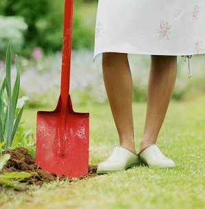 Tareas del jardín en febrero