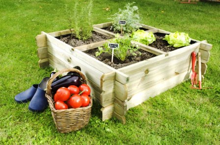 Huertos urbanos: espacios de cultivo