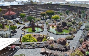 jardindecactus_lanzarote01