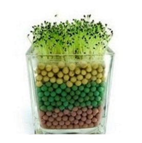 Hidrocultivo casero