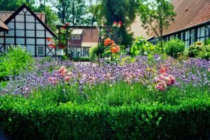 primeros pasos en un jardín