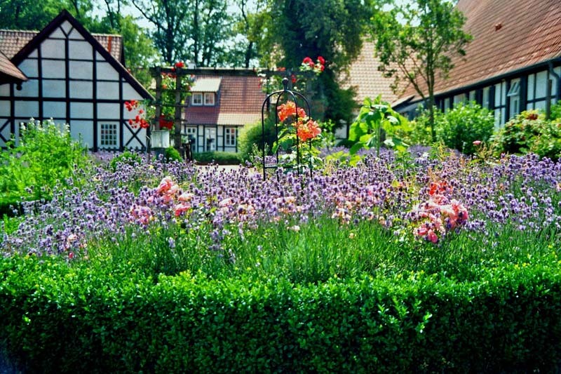 4 consejos para los primeros pasos en un jardín