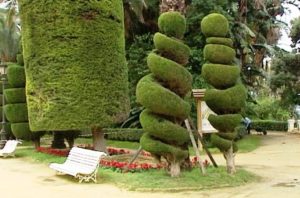 noticias cadiz parque genoves_0