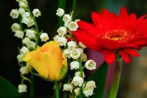 conservar las flores frescas conservar las flores frescas