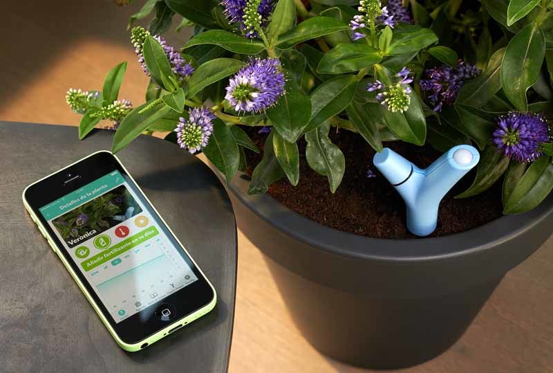 Flower Power, controla la vida de tu planta