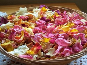 Cómo secar flores