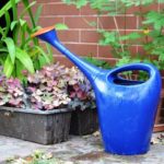 cuidado-de-plantas-en-otoño