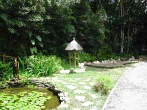 Jardines de Topotepuy Jardines de Topotepuy
