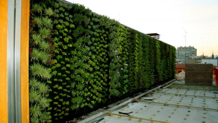 Qué son los jardines verticales