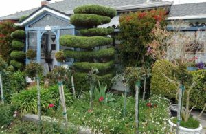 Fertilizar nuestras plantas