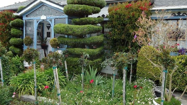 Fertilizar nuestras plantas, 3 idéas