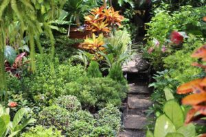 humedad en las plantas humedad en las plantas