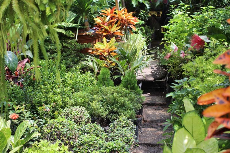 jardin-con-plantas