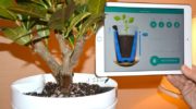 Parrot Pot, la maceta inteligente