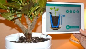 Parrot Pot, la maceta inteligente