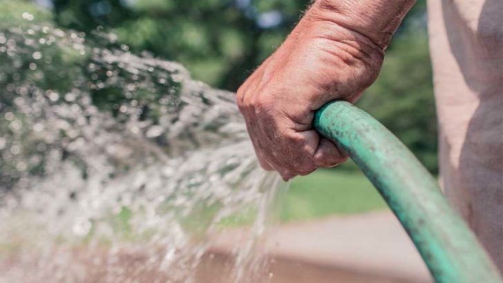 Aguas grises para regar las plantas