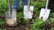Trabajos de otoño para el jardín