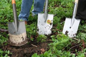 Trabajos de otoño para el jardín