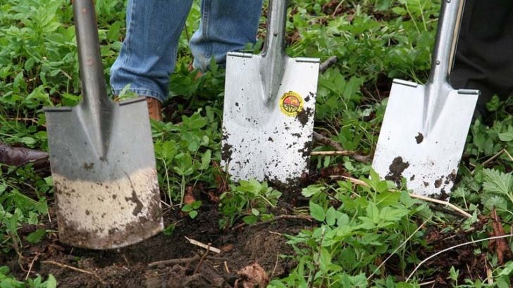 Trabajos de otoño para el jardín