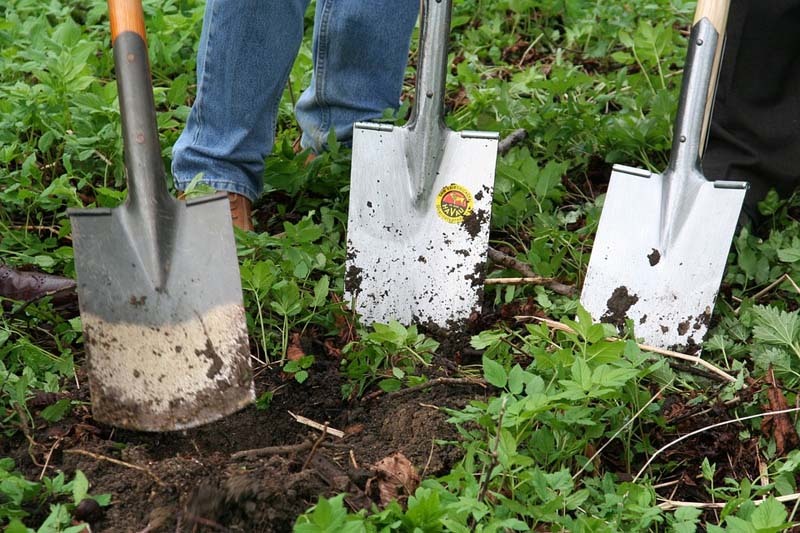 tareas-de-jardineria-para-otono