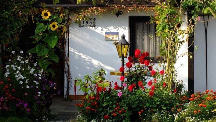 Tips para comenzar en un jardín