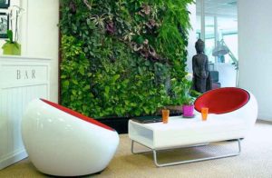 decorar con plantas