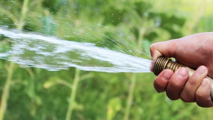 Cómo regar de manera eficiente