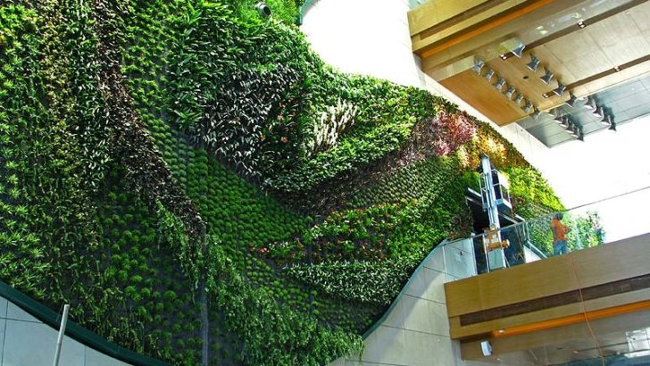 3 jardines verticales increíbles