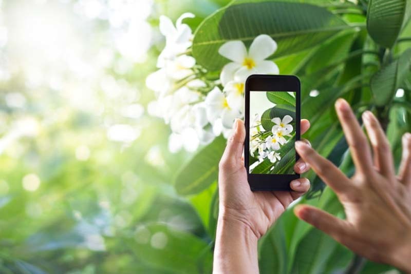 plantsnap