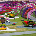 Miracle Garden