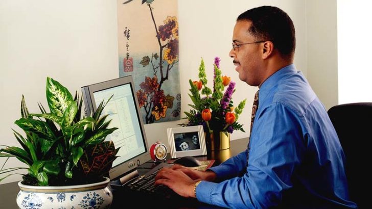 Los beneficios de las plantas en el trabajo