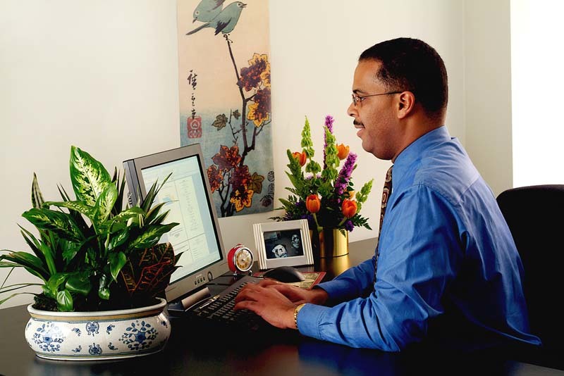 flores-y-plantas-en-la-oficina