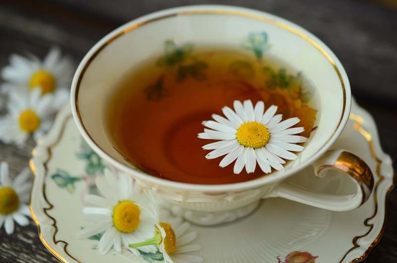 Plantas contra la gripe